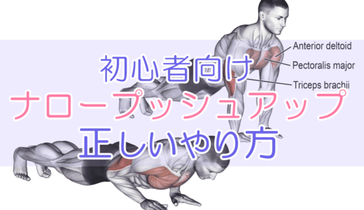 【初心者向け】ナロープッシュアップで二の腕と胸筋UP!自重トレ